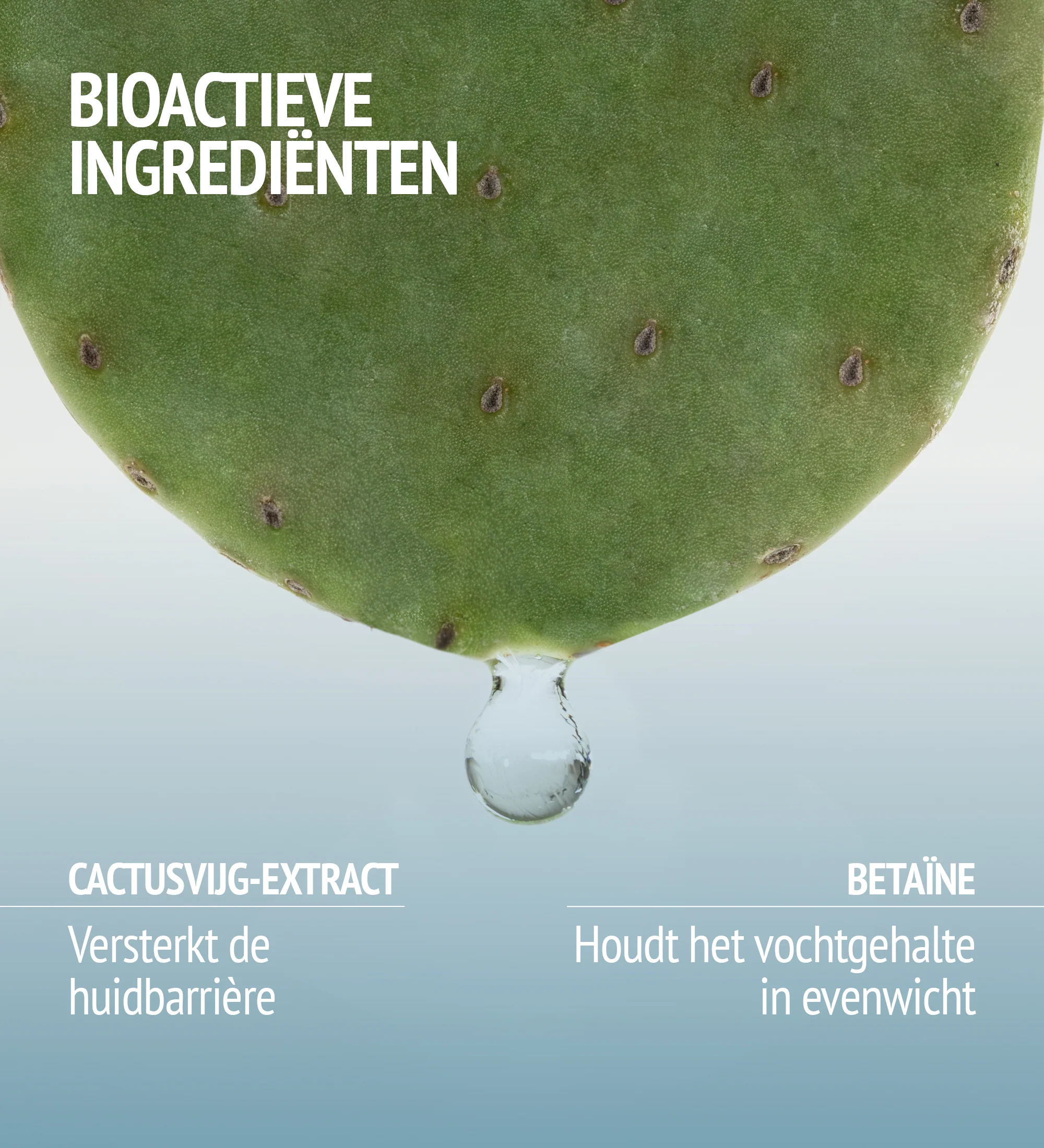 Comfort Zone HYDRAMEMORY FACE MIST - Afbeelding 5